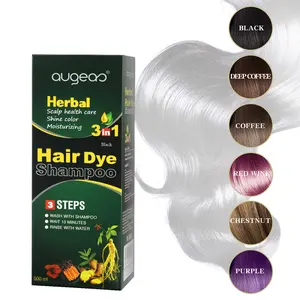 Op Voorraad Hot Selling Haarverzorging Black Bubble Kleur Behandelingsproducten Kruidenhaarverf Shampoo Haarkleur Shampoo Kleurstof