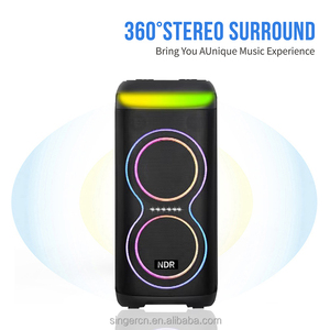 NDR-815 Tốt Nhất Người Bán Mạnh Mẽ Âm Thanh Bên Loa Ngoài Trời Kép 8Inch Máy Karaoke Loa Với Đèn LED Chiếu Sáng - Product Image 2