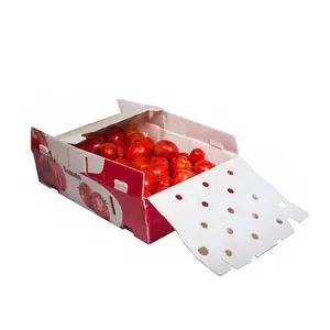 Tomate En Plastique Corflute Boîte D'emballage