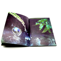 Impression de magazines brillants personnalisables, impression offset dorée à la demande en Chine, estampage à chaud, impression de catalogues, fabrication de livres en carton durable