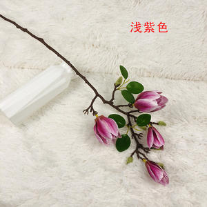<span class=keywords><strong>2023</strong></span> Offre Spéciale prix usine décoration Simulation fleur Arrangement longue branche Magnolia - Product Image 3