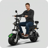 Nouvelle trottinette électrique Citycoco à gros pneus 60V 1000W 1200W, scooter cruiser à grandes roues, cyclomoteur chopper, vélo électrique pour adultes