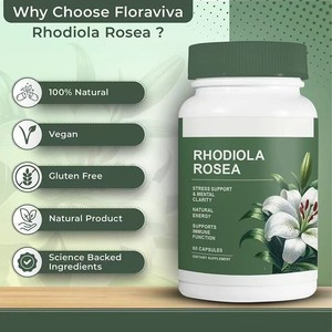 Rhodiola Rosea 500mg 3% Rosavin, soulagement du stress et concentration accrue, 60 capsules, extrait de Rhodiola Rosea, complément alimentaire pour adultes en capsules. - Product Image 2