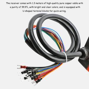 Cần Cẩu Điều Khiển Từ Xa 36V, Cần Cẩu 6 Nút, Tốc Độ Gấp Đôi, Điều Khiển Từ Xa Không Dây, Công Nghiệp, Chống Nước - Product Image 5