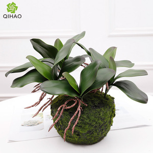 Hojas de Orquídea Artificiales QIHAO, Plástico Suave, Alta Simulación, Decoración para Exteriores, para Fotografía de Bodas y Decoración del Hogar - Product Image 3