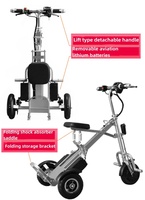 Tricycle électrique pliable à 3 roues avec batterie au lithium sans balais, scooter pour seniors 250W 36V, mini, léger, avec panier et batterie amovible