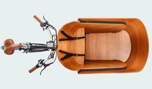 Tricycle électrique <span class=keywords><strong>cargo</strong></span> <span class=keywords><strong>danois</strong></span> à balançoire, batterie au lithium aluminium 36V 250W, moteur sans balais, porte-bagages arrière, vélo <span class=keywords><strong>cargo</strong></span> électrique familial - Product Image 3