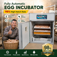 Équipement d'élevage avicole entièrement automatique, couveuse pour 176 œufs, machine d'incubation, incubateurs à œufs de poulet