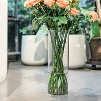 JIN PENG Klare Acryl Zylindervase, Sturzsicher und Transparent, für Wohnzimmer, Tischdekoration und Heimzierung