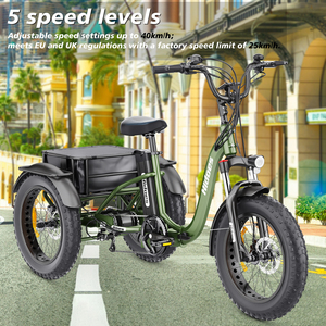 VIPCOO Hidoes ET1 750W Chine Tricycle électrique à 3 roues pour adultes pas cher Cargo - Product Image 4