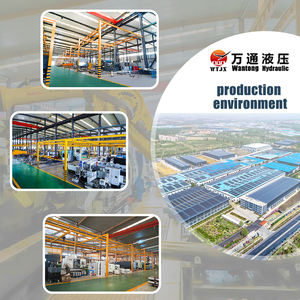 Wantong מותאם אישית רב-במה כבדה מזבלה משאית הרמת ו גליל הידראולי טלסקופי - Product Image 6