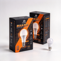 Boîte à ampoules personnalisée avec logo, boîte cadeau en carton rigide de luxe pour ampoules LED avec insert en mousse, fabrication en usine