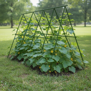 Tuteurs de plantes en plastique enduit pour la grimpée, fournis directement par l'usine chinoise, exclusivité supermarché - Product Image 1