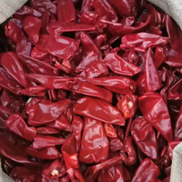 Paprika en vrac déstammé pour la transformation alimentaire et la vente en gros
