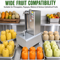 PS-Automatische 304 RVS Fruit- en Groenteschilmachine met Meerdere Messen voor Papaya, Pompoen, Ananas, Aardappel