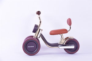 Vendita calda per bambini equilibrio bici ciclo di apprendimento per 2-5Y disegno di corsa popolare Baby Walk equilibrio Trainer Scooter - Product Image 6