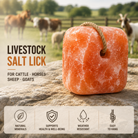 Blocs de sel minéral durable et durable en chlorure de sodium de qualité alimentaire pour animaux de ferme, vaches et moutons, à lécher