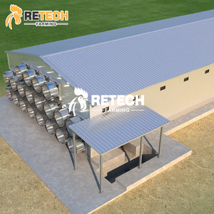 Casa avícola prefabricada para pollos <span class=keywords><strong>10000</strong></span>, diseño de estructura de acero, cobertizo para granja avícola - Product Image 4