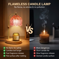 Lampe chauffe-bougie en verre Tulip avec bras en laiton réglable en hauteur, lumière chauffe-bougie sans flamme à intensité variable