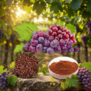 Fournisseur de poudre d'extrait de raisin, extrait de raisin de qualité alimentaire haute pureté, fabricant en gros - Product Image 1