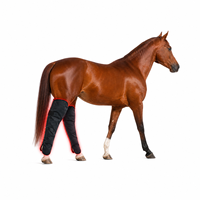 SUNGLOR SGHSBB Soins équin avec 236 LED infrarouges pour la thérapie par la lumière rouge, bandages pour l'équitation, pour l'approvisionnement des marques équestres mondiales