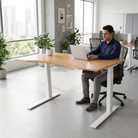 Ensemble complet de bureau en bambou, bureau debout écologique en bambou, pieds réglables électriques, bambou Factory Ecomax