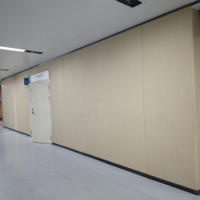 Revêtement mural en PVC moderne antimicrobien à haute résistance aux chocs avec design graphique pour la protection et la décoration des hôpitaux, finition bois