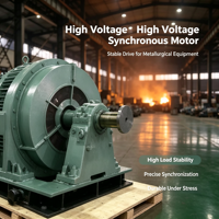 Moteur électrique synchrone avec boîtier en fonte, large plage de vitesse, faible augmentation de température, moteur synchrone YKK YRKK