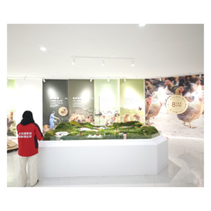 Modelo de Granja Ecológica con Mesa de Arena, Maqueta Agrícola, Cría de Pollos al Aire Libre, Diorama para Exposiciones Agrícolas - Product Image 6