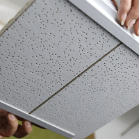 Plafonds modernes ignifuges et anti-fumée en fibres minérales pour immeubles de bureaux, isolation thermique, panneaux acoustiques, fabrication