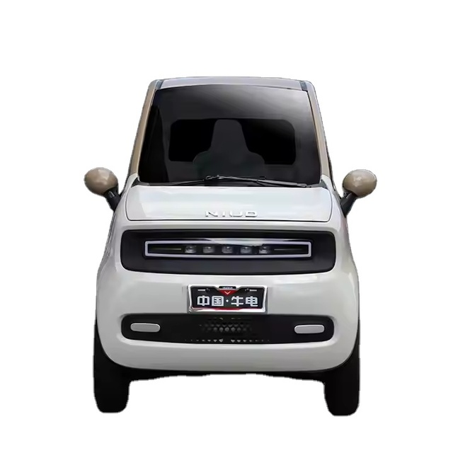 EEC Certified 3000W Mini Electric New Energy Vehicle Fully Enclosed Four-Wheel Car with LED Lights and Lithium Battery