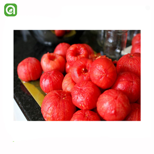 <span class=keywords><strong>Pomodori</strong></span> Interi Pelati in Scatola, in Succo di Pomodoro, 400g/800g, Senza Conservanti, Basso Contenuto di Buccia e <span class=keywords><strong>Semi</strong></span> - Product Image 3