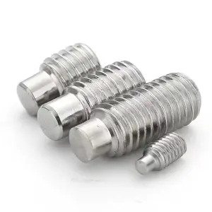 M3 M4 M5 M6 M8 M10 M12 punto cane Grub Set vite DIN915 in acciaio inox punto esagono presa viti per l'industria