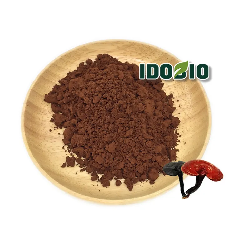 Best Reishi Mushroom Extract Ganoderma spore powder Ganoderma Lucidum Spore Powder