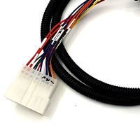 Harness Kabel Multi-Konektor Berkualitas Tinggi Sesuai RoHS, Perakitan Kabel Tahan Lama untuk Peralatan Industri Otomotif Tegangan Rendah