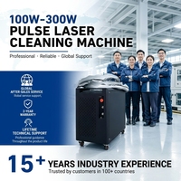 Machine de nettoyage au laser pulsé portative 100W 200W 300W pour l'élimination de la rouille et de l'oxyde sur les petites pièces avec chariot à roulettes