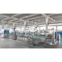 Ligne de remplissage d'huile comestible en bouteille plastique LWT 10L, 750BPH, ligne de production automatique d'embouteillage d'huile