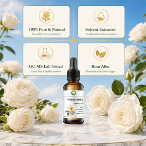 Aceite Absoluto de <span class=keywords><strong>Rosa</strong></span> Blanca 100% Natural (<span class=keywords><strong>Rosa</strong></span> <span class=keywords><strong>Alba</strong></span>) Orgánico Certificado por el USDA, Venta al Por Mayor para Fragancias Finas y Cuidado de la Piel - Product Image 2