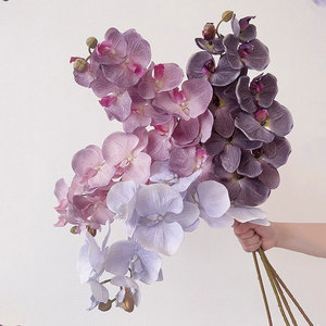 Orquídea Phalaenopsis Artificial Xinyuan, Flor de Seda de Tallo Único, Estilo Minimalista para Decoración de Bodas y Salas de Estar - Product Image 1