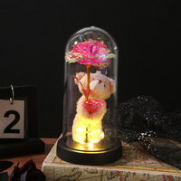 Lampe en plastique à fleurs éternelles, rose artificielle, cadeau créatif, décoration, fête, Saint-Valentin