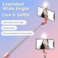 Cabine de selfie stick pour téléphone portable avec télécommande Beauty Light Trépied de bureau multifonctionnel en direct
