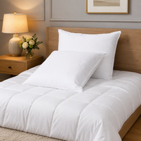Coussin décoratif personnalisé de luxe personnalisé 18x18 pour canapé-lit Insert de coussin de plumes blanches de luxe