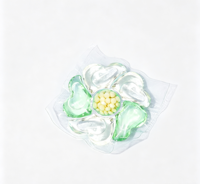 Capsules de lessive 6-en-1 parfumées aux fleurs, en vrac, fabrication OEM |   Capsules de parfum écologiques originales |   Lessive en poudre à marque privée