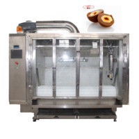 Machine de recouvrement et de polissage de chocolat à bande transporteuse LST pour noix, arachides, hawthorn, noisettes et amandes