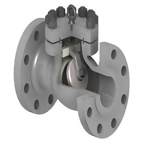 Válvula de Retención Oscilante C-Way de Alta Temperatura 6D, Tamaño de Puerto de 2 Pulgadas, Sellos de EPDM/PTFE, Operación Manual para Aplicaciones Industriales de Aceite - Product Image 3