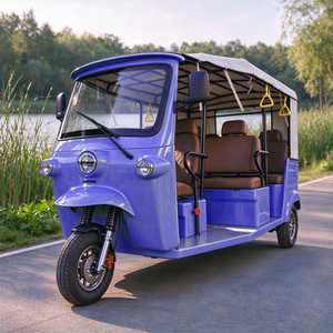 Triciclo Elettrico a Batteria per il Sud-Est Asiatico, 5+ Passeggeri, EEC COC, 72V250Ah Litio, 170-190km, 700kg, Carrello - Product Image 6