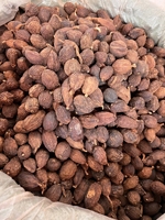 Amomum Tsaoko Zwarte Kardemom Cao Guo Gedroogd Fruit AD Verwerkt Groothandel Kruiden Voedsel Kruiding 25Kg