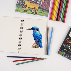 Juego de 18 Lápices de Colores Xin Bowen, Juego de Lápices de Madera de Colores Macaron Personalizados para Dibujar y Pintar - Product Image 3