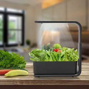 Brimmel Indoor Kräuter Gemüse und Obst Home System Hydro ponic Tray Growing Kits Systeme Mini Gewächshaus