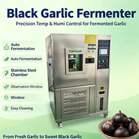 Machine à fermenter l'ail noir avec revêtement interne en acier inoxydable, prolongeant la durée de vie de la machine et réduisant les coûts de remplacement